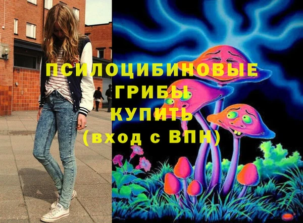 герыч Иннополис