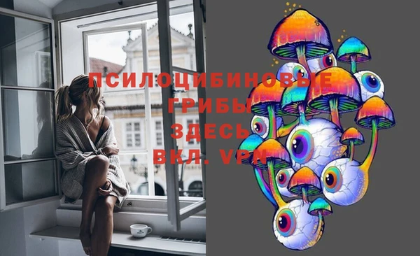 apvp Шадринск