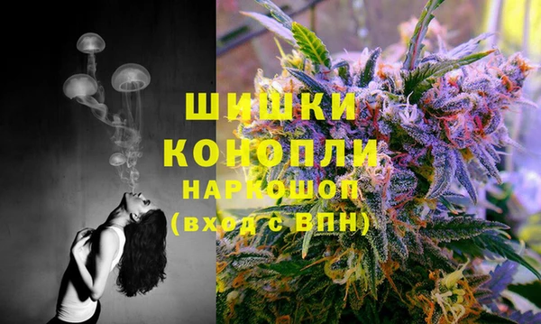 кристаллы Инта