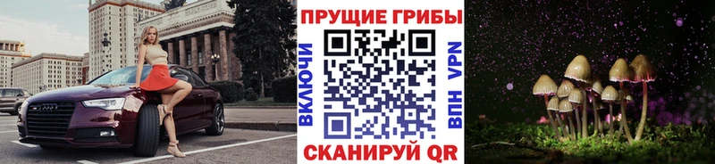 Купить закладки  Майский  Галлюциногенные грибы мицелий 